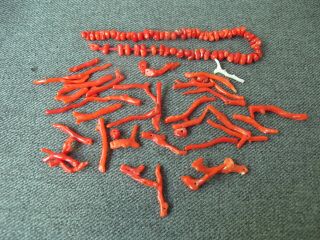 Vintage Real Red Coral Branches Loose Beads Jewelry Crafts Making