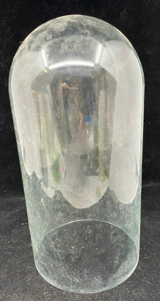 Clear Glass Dome Cloche Thin Clear Tall 11 1/4 " 5 1/2 " Wide Vintage Antique