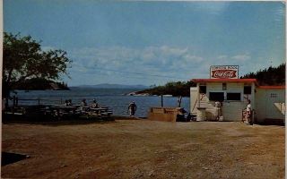 Vintage Postcard View of The Lobster Pool Little Deer Isle Maine Coca Cola Sign 2