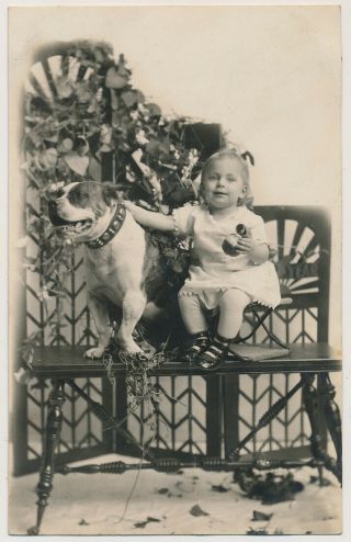 Trusty Collared Bull Dog ? W Little Girl Vtg 1910 