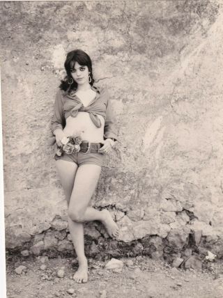Tina Aumont Alluring Pose Cheesecake 1960s Sexy Legs Orig Vintage Photo 283