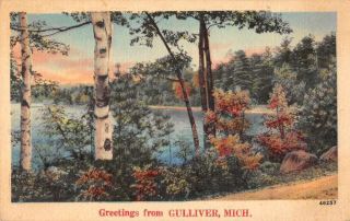 Gulliver Michigan Greetings Scenic View Vintage Postcard Jf686584