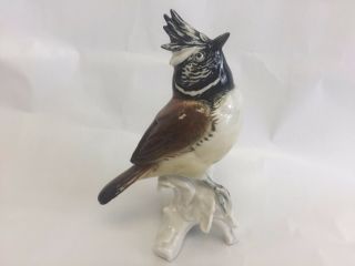 Karl - Ens - Volkstedt - Dresden - Model - Of - Crested - Tit - Bird - Figure Porcelain