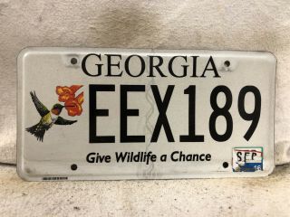 2016 Georgia Hummingbird Wildlife License Plate