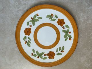 Vintage Mid Century Stangl Art Pottery Hand Painted Ceramic Dinner Plate 10 "