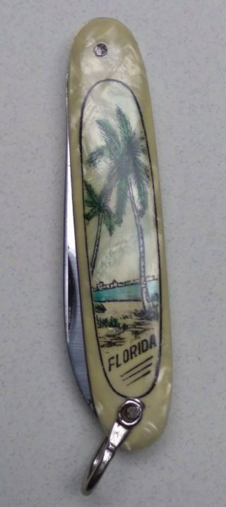 Vintage Souvenir Pocket Knife Made In Germany Depicts Palm Trees & Beach - Florida