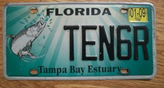 Single Florida License Plate - 2009 - Ten6r - Tampa Bay Estuary