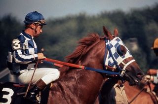 1973 Photo Transparency Secretariat Triple Crown Horse Racing In Color