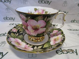 Vtg Royal Albert England Alberta Rose Floral Pink And Black Cup Saucer Euc