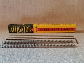 Vintage Alligator Steel Belt Lacing 15e Nos