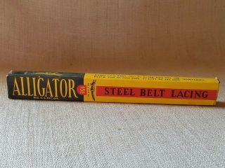 Vintage ALLIGATOR Steel Belt Lacing 15E NOS 3