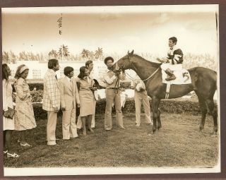 1977 Press Photo Race Horse Seattle Slew After The Flamingo,  Jockey J.  Crueget