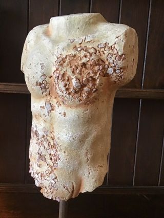 A large antique Italian painted terracotta torso fragment. 2