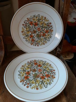 Vintage Corelle By Corning Indian Summer Dinner Plates 10 1/4 " Set Of 4.  Usa