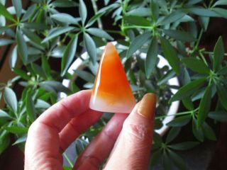 Translucent Orange Carnelian Agate 