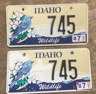 1990’s Idaho Bluebird Wildlife License Plates 745