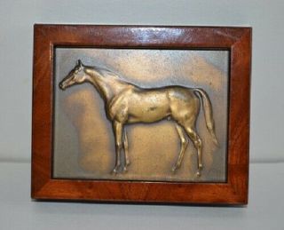 Racehorse " Scapa - Boy " On Small Bronze Plaque Framed Jockey Club De Belgique