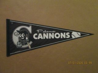 Carolina League Potomac Cannons Vintage Defunct 2002 Team Logo Baseball Pennant