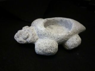 7/16a Pre - Columbian Southern Arawak Fossil Coral Turtle Effigy Funerary Bowl