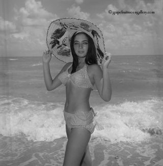 Bunny Yeager Pinup Camera Negative Brunette Bikini Model & Big Sun Hat