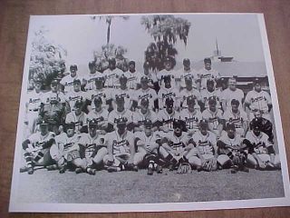 Rare 1953 Milwaukee Braves Baseball Team Photo (right After Move From Boston)