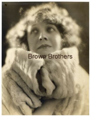 Vintage 1920s Broadway Actress Ethelyn Clark Dbw Oversized Photo By Apeda