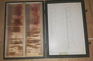 Vintage 90,  Horse Pathology Blood Tissue Specimen Slides Surgery Box 3