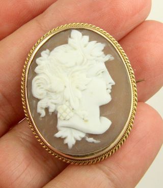 Antique Victorian C1890 10 Ct Gold Italian Shell Cameo Brooch Pin Signed