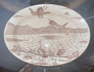 Antique J D & Co Warwick Brown Aesthetic Transferware Ceramic Platter 14”x10.  25”