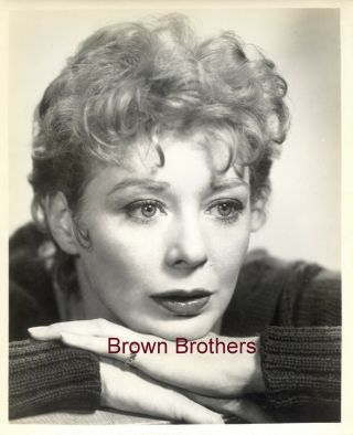 Vintage 1960s Actress Gwen Verdon Broadway Photo - Brown Bros