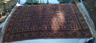 Hand - Knotted Afghan Carpet 3 