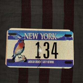 York Bluebird Graphic License Plate American Childrens Safety Network Low