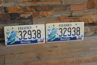 Pair Idaho Wildlife Bluebird License Plate 32938 2014