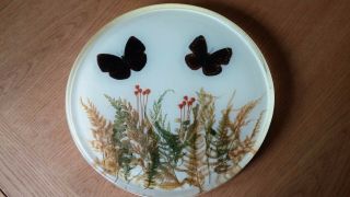 Resin Lazy Susan With Butterflies And Flowers Vintage Rubbermaid