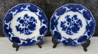 (2) Antique Staffordshire Flow Blue Cashmere Ironstone 8 3/8 " Salad Plates