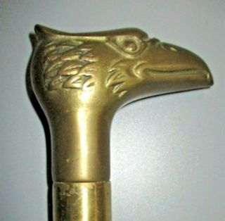Antique 36 " Walking Stick Rosewood Cane W/ Brass Eagle Head Handle & Steel Tip