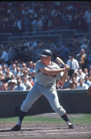 1967 Photo Slide Rusty Staub Houston Astros At Bat In Rare Color