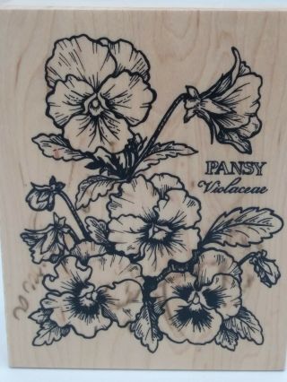 Psx Designs Wooden Rubber Stamps K - 774 Pansy Flowers 1993 Vintage