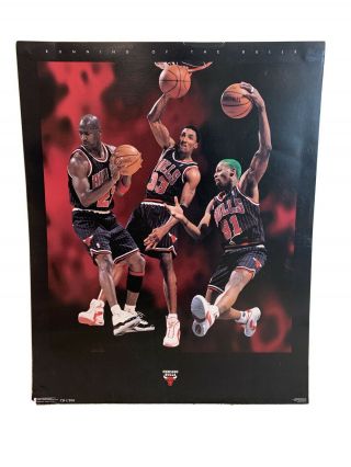 Running Of The Bulls Michael Jordan Pippen Rodman Chicago 1996 Nba Poster Photo