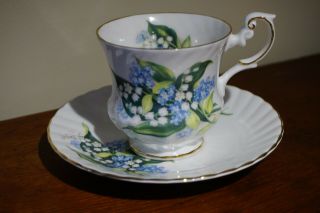 Vintage Rosina Lily Of The Valley Fine Bone China Tea Cup & Saucer England May