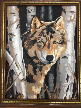Vintage Wolf Paint By Number PBN Framed Art Picture Wooden Frame Birch Trees 3