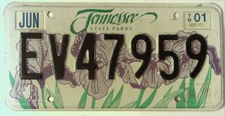 Tennessee Tn Specialty License Plate Tag State Parks Iris C