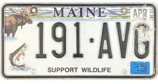 99 Cent 2013 Maine Support Wildlife License Plate 191 - Avg