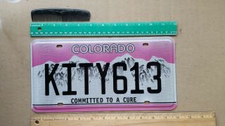 License Plate,  Colorado,  Committed To A Cure,  Vanity: Kity 613,  Kitty,  Cat