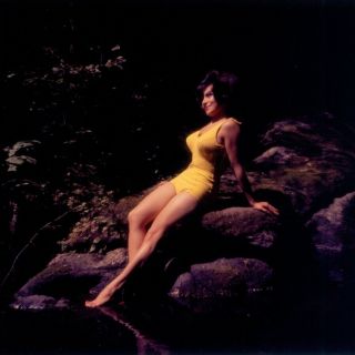 Vintage Sexy Model Color Transparency 1960s By Harry Amdur Nyc Photographer