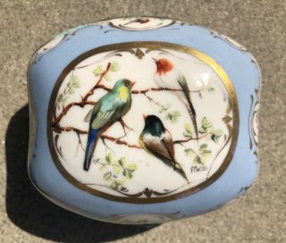 Fine Antique French Or German Sevres Style Porcelain Snuff Box Birds Art Signed