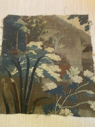 A Great Verdure 18th Century Tapestry Fragment