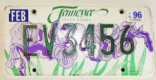 Tennessee Tn Specialty License Plate Tag State Parks Iris Flowers