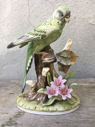 Vintage Andrea By Sadek Parakeet Bird Porcelain Figurine Made In Japan