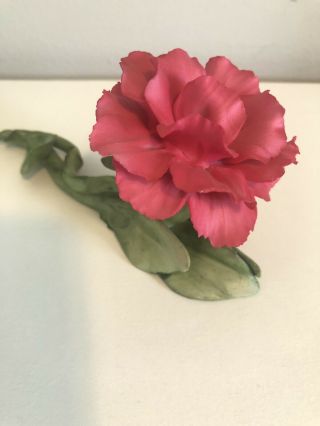 Vintage Porcelain Napoleon Capodimonte Hot Pink Flower Made In Italy Flower